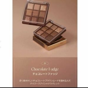 訳あり デイジーク アイシャドウ 11番 チョコレートファッジ