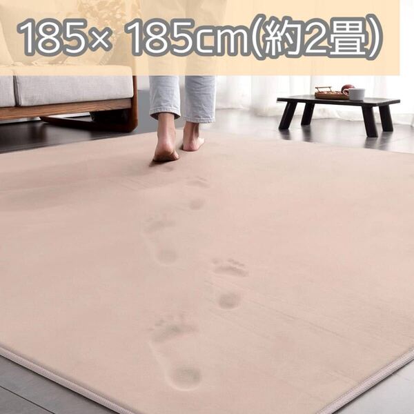 カーペット ラグ ラグマット 厚手 180×180cm 洗える 滑り止め付き オールシーズン 絨毯 抗菌防臭防ダニ 床暖房ホットカーペット対応