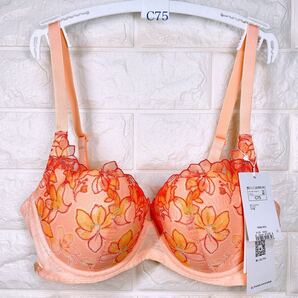 新品 トリンプ 天使のブラ 魔法のハリ感596 ブラジャー C75