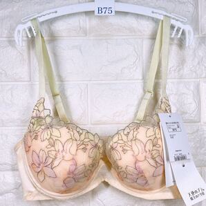 新品 トリンプ 天使のブラ 魔法のハリ感596 ブラジャー B75 イエロー