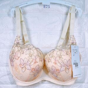 新品 トリンプ 天使のブラ 魔法のハリ感596 ブラジャー E75 イエロー