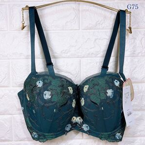 新品 トリンプ レッドレーベル0104 ブラジャー G75