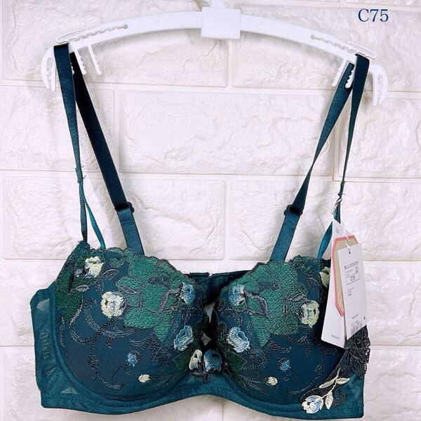 新品 トリンプ レッドレーベル0104 ブラジャー C75