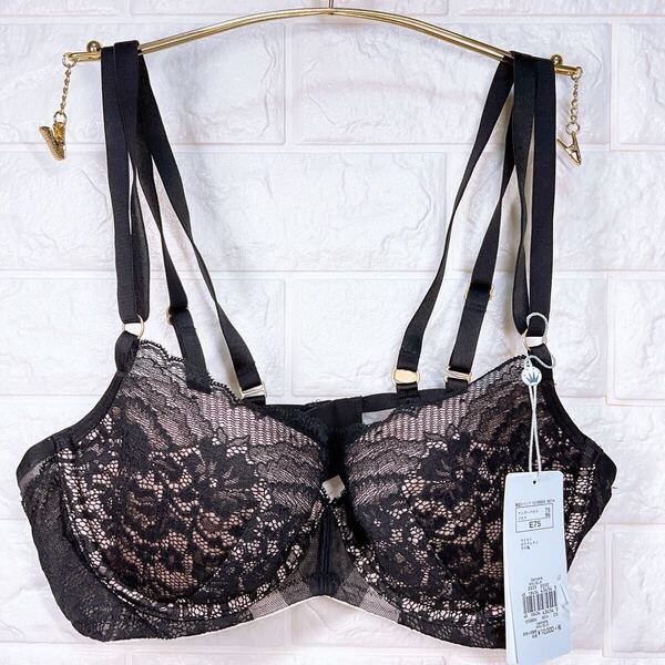 新品 トリンプ ヴァリゼール Captivating WHU 02 JX ブラジャー E75