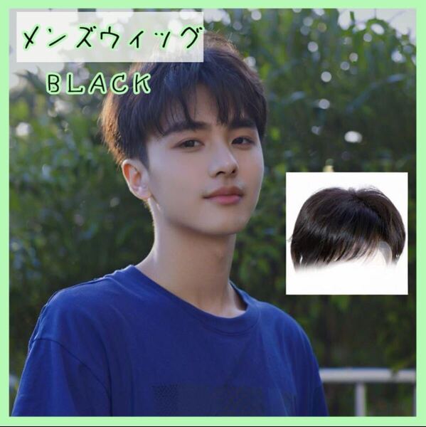 黒 男性用 ツーブロック ウィッグ コスプレ かつら イメチェン 韓国 男子