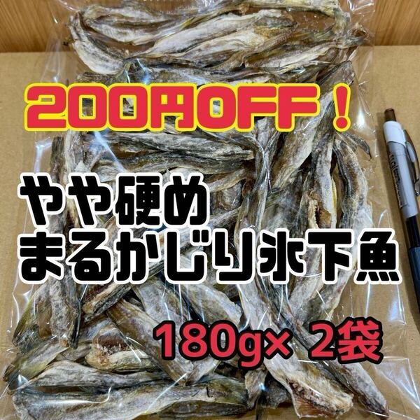 2点セット 珍味 やや硬めまるかじり氷下魚(こまい)北海道根室産