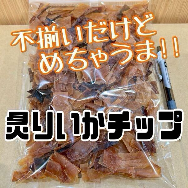 珍味 不揃いの炙りいかチップ