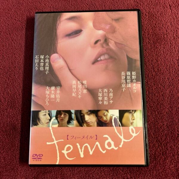 フィーメイル female DVD レンタル落ち 高岡早紀