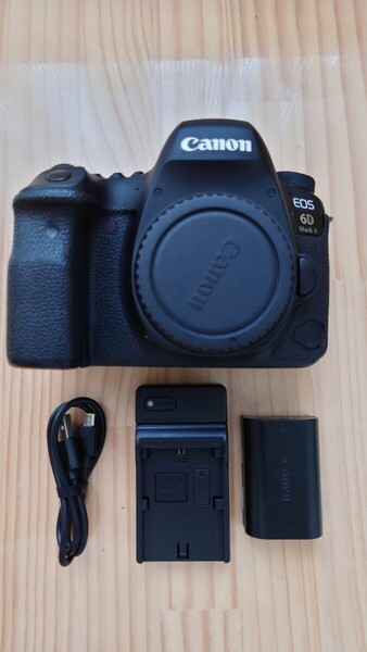★実用品★ Canon キャノン EOS6D Mark II マーク2 デジタル一眼レフカメラ