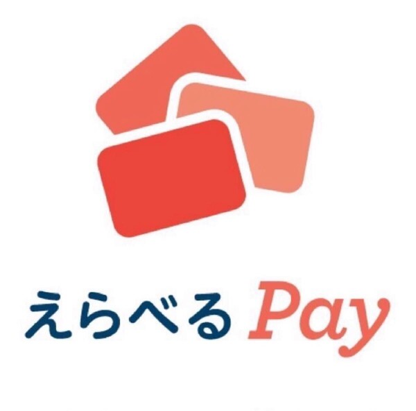 えらべるpay 500ポイント