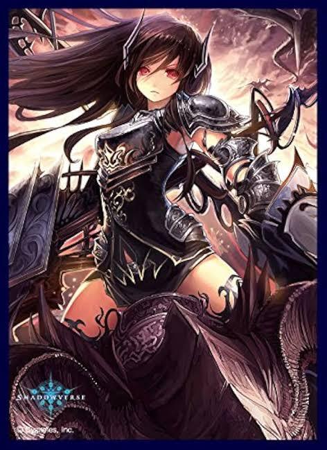 2025年最新】Yahoo!オークション -ダークドラグーンフォルテの