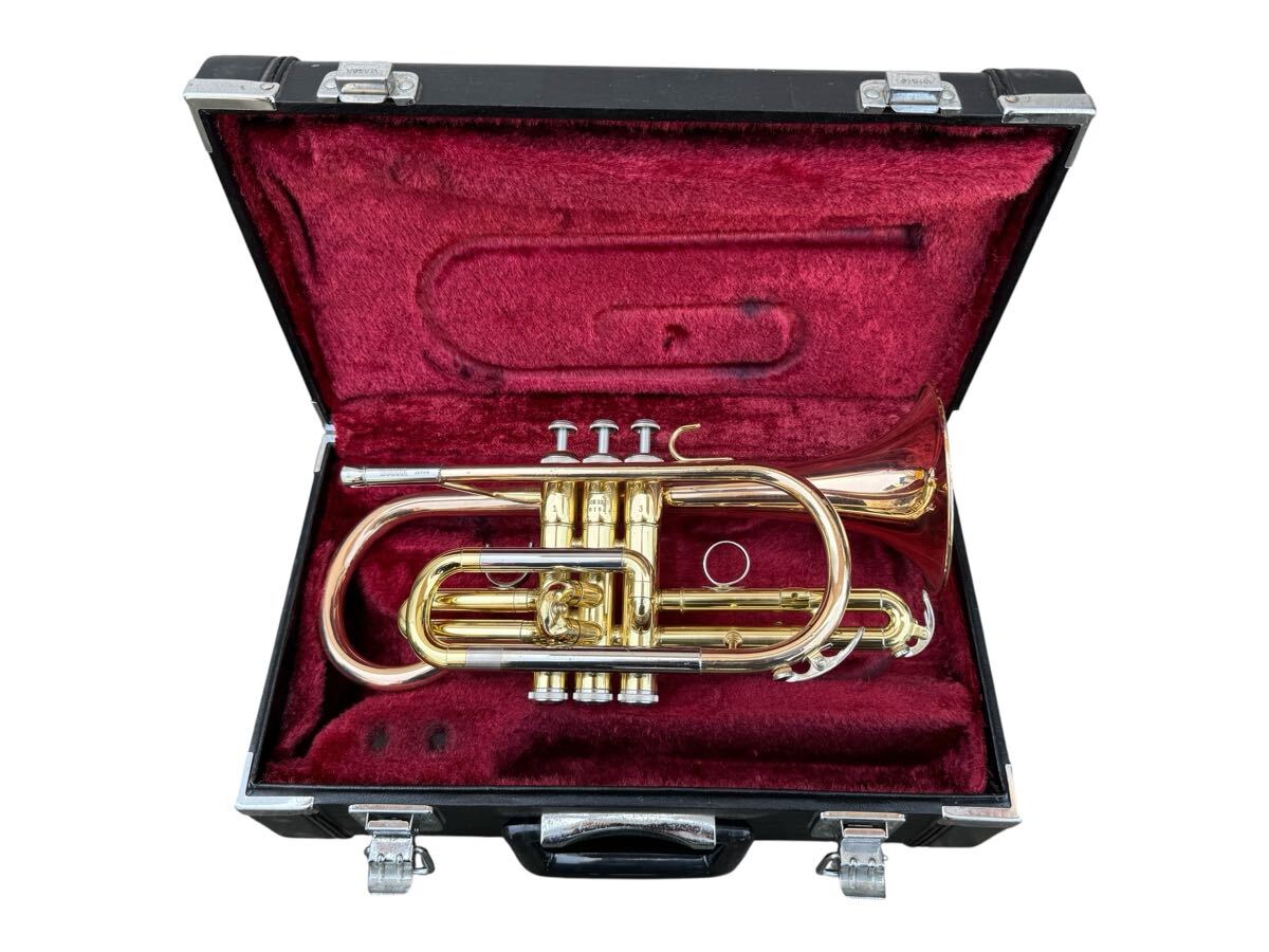 コルネット　ノーブランド品　未使用品 Yahoo!オークション -本体(コルネット)の落札相場・落札価格