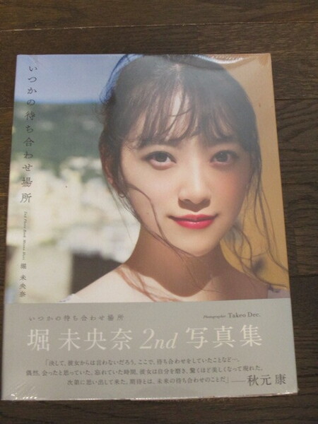 新品未開封 乃木坂46 堀未央奈2nd写真集『いつかの待ち合わせ場所』楽天ブックス特製カバー版 特典ポストカード封入