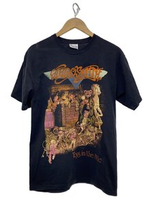 2009/Hanes/Tシャツ/M/コットン/BLK