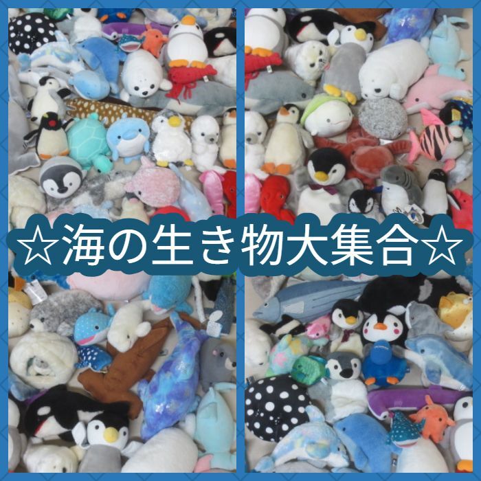 レトロ　鴨川シーワールド　シロイルカ　ぬいぐるみ　2コセット 中古品 レトロ 鴨川シーワールド シロイルカ ぬいぐるみ 2コセット 中古