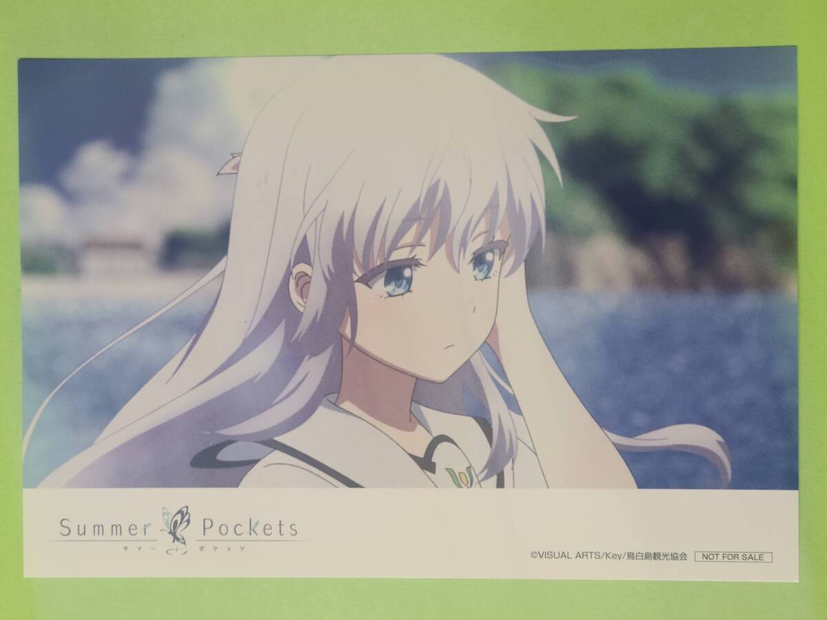 サマポケ 鳴瀬しろは 加藤うみ アクリルパネル Summer Pockets