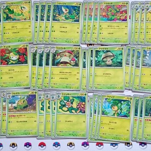 ポケモンカード 草タイプポケモンセット ブラックボルト ホワイトフレア