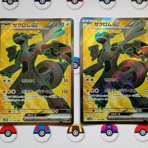 ポケモンカード ゼクロムex SR ブラックボルト pokemon