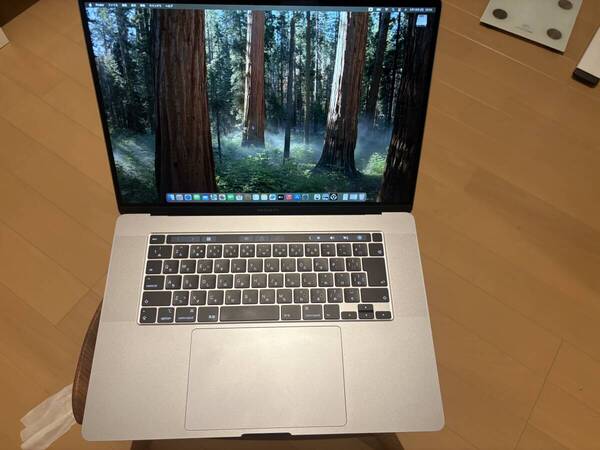 MacBoolk Pro 16-inch 2019 Intel Core i9 2.4GB 8コア メモリ64GB SSD 2TB A2141