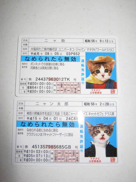 【なめ猫 免許証風 ブロマイド ニャ助 ニャン太郎】なめんなよ猫 なめねこ 癒やし 猫 かわいい 可愛い ネコ キャラクター コレクション