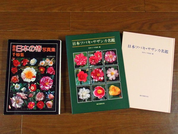 現代椿集 日本ツバキ協会編 Yahoo!オークション -「椿」(野草、植物) (花、園芸)の落札相場