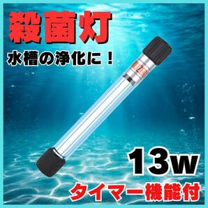UV殺菌灯 タイマー付 紫外線ライト 13w 滅菌ランプ コケ除去 水槽用 熱帯魚 水中殺菌 金魚 浄化槽 藻除去 錦鯉 コケ 苔 緑藻