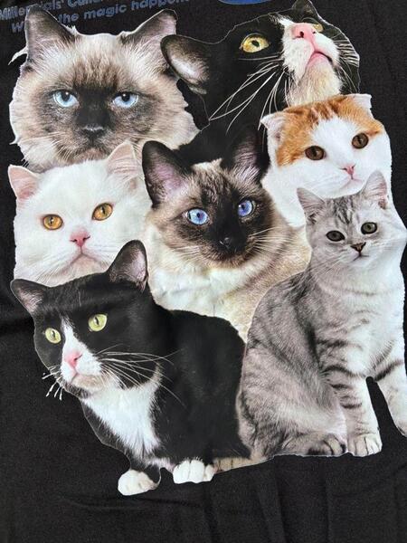 猫 ネコ ねこ Tシャツ ブラック 流行 ストリート cat 半袖 黒 可愛い