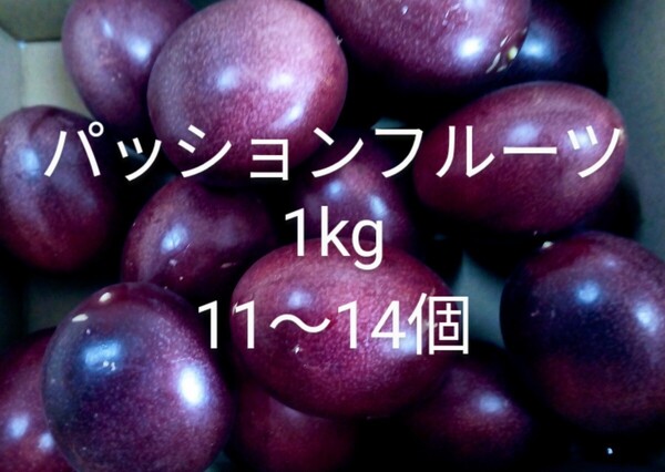 【送料無料】奄美パッションフルーツ ご家庭用!1kg【無農薬】c
