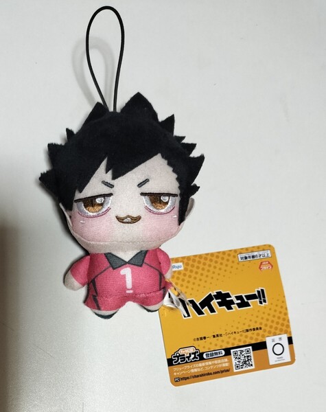プライズ ハイキュー!! ハイキュー ちょぴぬいぷち 黒尾鉄朗 黒尾鉄朗 黒尾 鉄朗 ぬいぐるみ ぬい マスコット