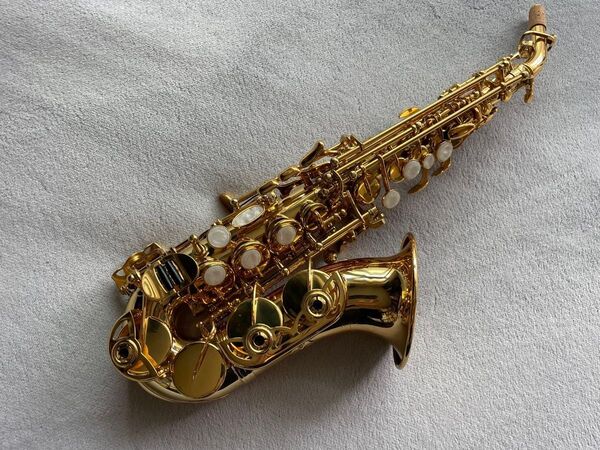 【今月限定新品】カーブドソプラノサックス 唯一無二の音色!動画あり