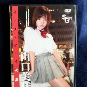 ☆山口美咲 中古DVD『イケナイ火遊び』グラビアアイドル やまぐちみさき