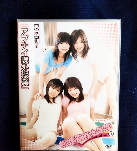 ☆『桃色聖春女学園 vol.2』 中古DVD 夏実かおり 岡田まりか 新沼千早 川野美悠 グラビアアイドル