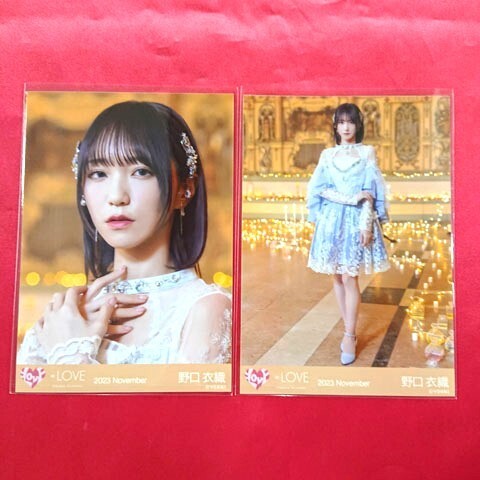 イコラブ 野口衣織 生写真 アリーナツアー2025 黒衣装 コンプ