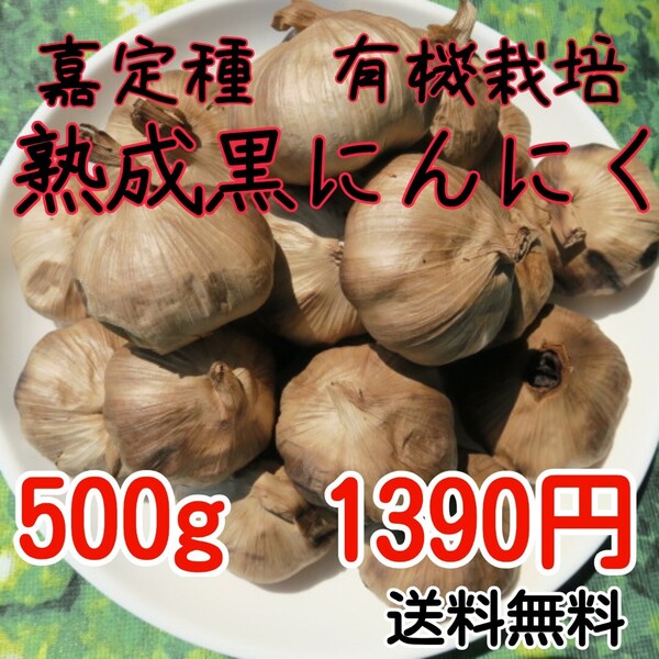 熟成黒にんにく 嘉定種(有機栽培) 500グラム 濃厚 食品衛生責任者許可 営業届出済
