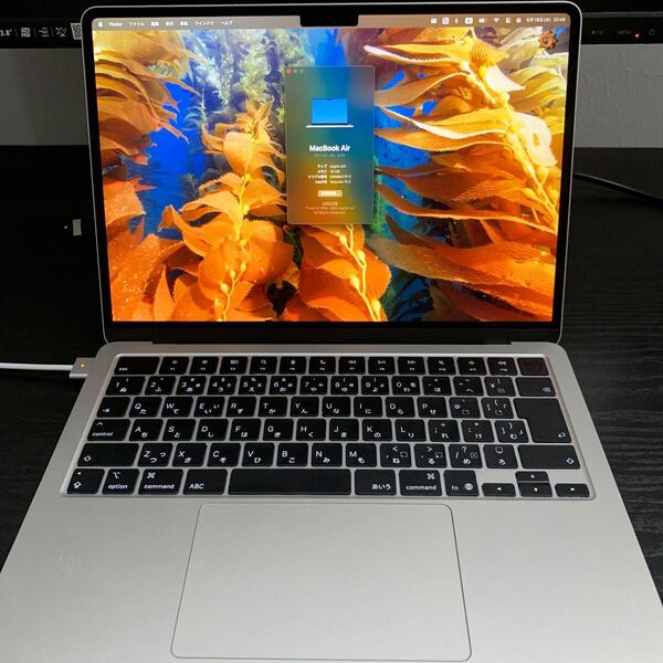 Apple MacBookAir M4 16gbメモリ ストレージ256gb シルバー jis配列 バッテリー劣化ほぼなし 美品