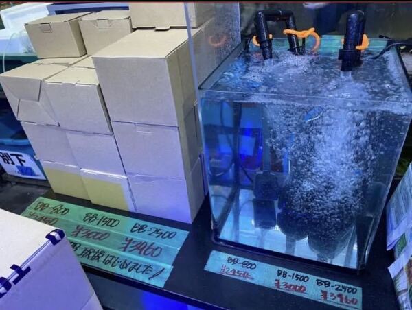 新品自社製水中ポンプ25w 5年間県内販売続け、送料込み即時発送 金魚 熱帯魚 水草 メダカ淡水魚 アロワナ ダトニオ 水質浄化 水質調整