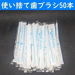【コンビニ受取可】 使い捨て歯ブラシ 歯磨き粉付き 50本 ハブラシ