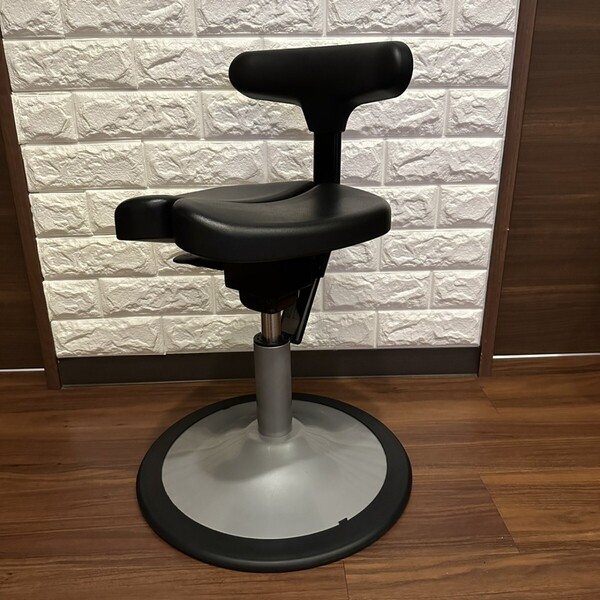 アーユルチェア ルナ 調整機能付タイプ 傷防止カバー付き ayur chair