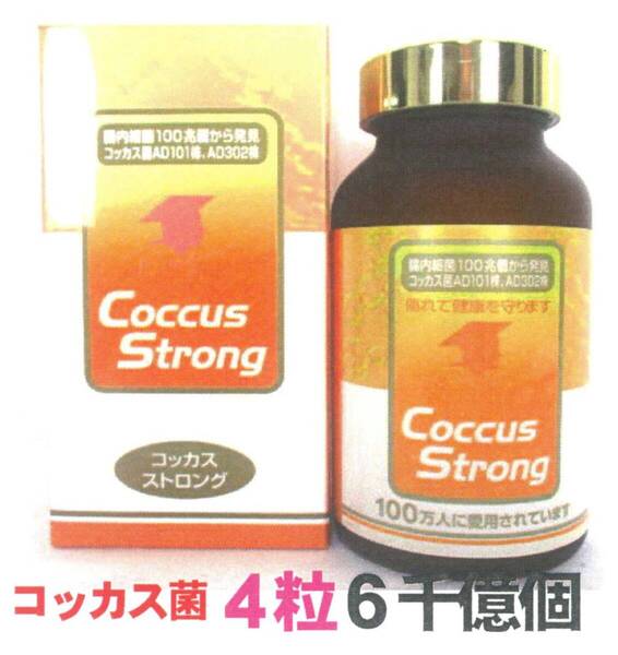 コッカスストロング360粒入x1瓶(会員特価7980円↓下記)・濃縮乳酸菌コッカス4粒6千億個・アドバンス