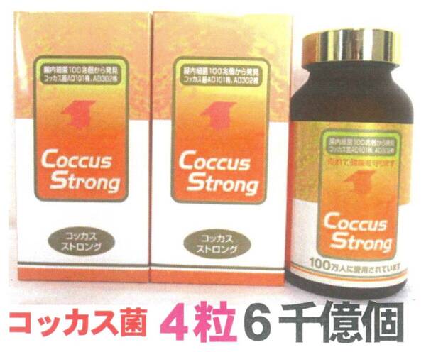 コッカスストロングx2瓶set(会員特価15500円↓下記)・濃縮乳酸菌コッカス4粒6千億個・アドバンス