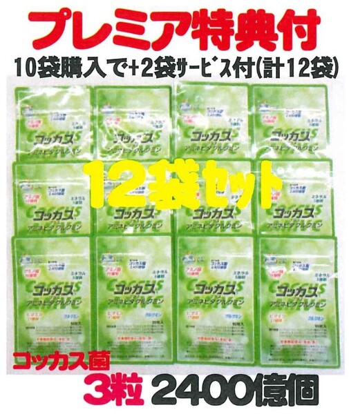 アミネビタクルクミンコッカス10袋set+2袋サービス特典付=計12袋お買得品(会員特価27800円↓下記)コッカス菌3粒2400億個・アドバンス