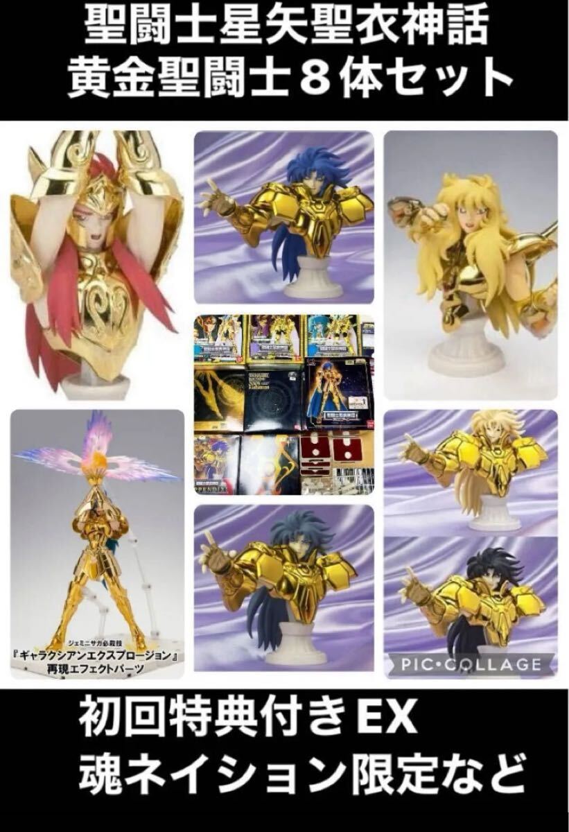 2025年最新】Yahoo!オークション -聖闘士星矢 サガ カノンの中古