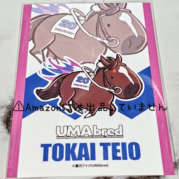 【競馬】UMAbred ウーマブレッド ダービー POPUP ポストカード 非売品 トウカイテイオー