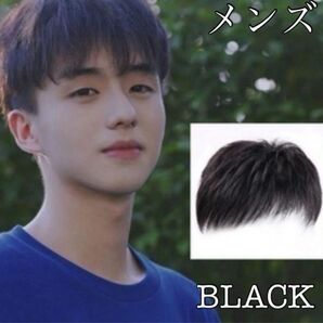 男性用 ツーブロック ウィッグ 黒 髪 韓国男子 コスプレ 医療用 かつら ショート 韓国男子 黒 男性用 コスプレ ウィッグ