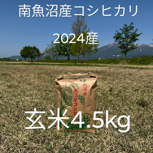 南魚沼産コシヒカリ 2024産 玄米4.5kg