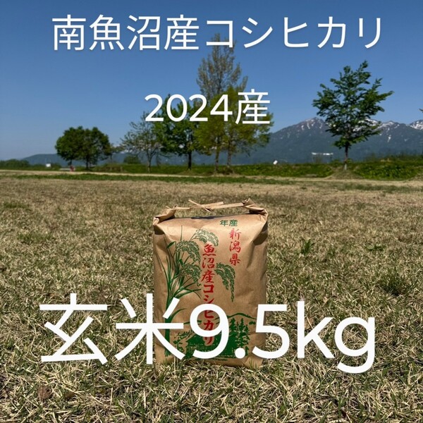【6/22(日)迄の出品】 南魚沼産 コシヒカリ 令和6年産 玄米9.5キロ