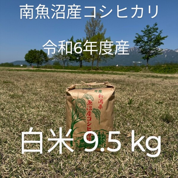 南魚沼産 コシヒカリ 令和6年産 白米9.5kg