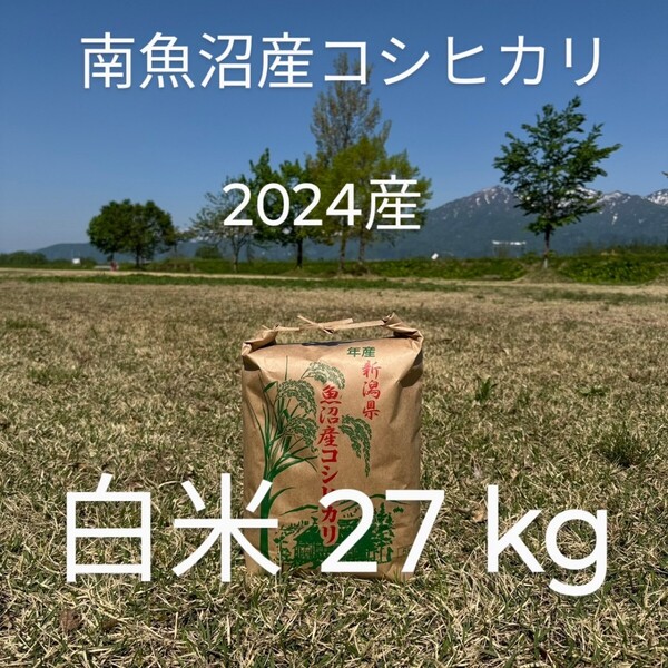 【6/22迄の出品】南魚沼産コシヒカリ 令和6年産 精米27kg