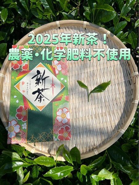 *新茶・無農薬お茶*【伝統とこだわりの味!】苦くない緑茶♪深蒸しかぶせ茶 茶葉 100g 化学肥料・除草剤・畜産堆肥不使用 宇治茶100% ③
