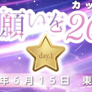 【送料無料】6/15 星に願いを 2025 day1 赤ブー サークルチケット サークルPASS